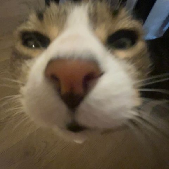 Meet your Posher, Lynn - Picture 1 of 1